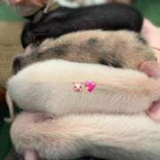 ヒメ日記 2025/02/23 21:14 投稿 水嶋　ねね 快楽園 大阪梅田