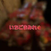 ヒメ日記 2025/03/01 14:04 投稿 水嶋　ねね 快楽園 大阪梅田