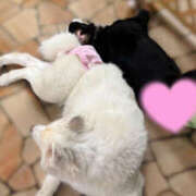 ヒメ日記 2025/06/11 22:19 投稿 水嶋　ねね 快楽園 大阪梅田