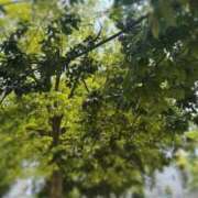 ヒメ日記 2025/07/05 11:09 投稿 水嶋　ねね 快楽園 大阪梅田