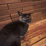 ヒメ日記 2025/10/29 19:49 投稿 水嶋　ねね 快楽園 大阪梅田