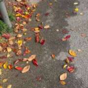 ヒメ日記 2025/11/24 13:09 投稿 水嶋　ねね 快楽園 大阪梅田