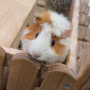 ヒメ日記 2025/12/18 18:19 投稿 水嶋　ねね 快楽園 大阪梅田