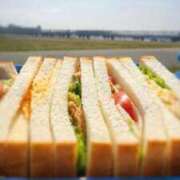 ヒメ日記 2026/02/23 16:22 投稿 水嶋　ねね 快楽園 大阪梅田