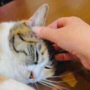 ヒメ日記 2026/03/31 20:53 投稿 せいら スーパークリスタル