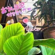 ヒメ日記 2025/05/17 04:53 投稿 あやか 人妻倶楽部 内緒の関係 越谷店