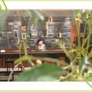 ヒメ日記 2025/11/12 20:13 投稿 あやか 人妻倶楽部 内緒の関係 越谷店