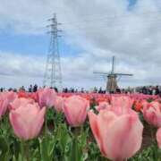 ヒメ日記 2025/09/16 11:48 投稿 ゆうか 成田富里インターちゃんこ