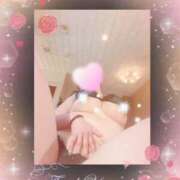 ヒメ日記 2025/02/15 01:45 投稿 神木天音(かみきあまね) 姫路マダム大奥