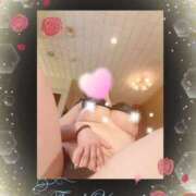 ヒメ日記 2025/04/07 22:21 投稿 神木天音(かみきあまね) 姫路マダム大奥