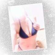 神木天音(かみきあまね) 本日も宜しくお願い致します♡ 姫路マダム大奥