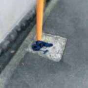 ヒメ日記 2024/12/10 08:30 投稿 しおり 梅田人妻秘密倶楽部