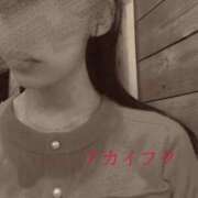 ヒメ日記 2024/12/12 19:15 投稿 しおり 梅田人妻秘密倶楽部