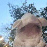 ヒメ日記 2025/02/01 07:00 投稿 しおり 梅田人妻秘密倶楽部