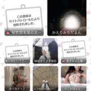 ヒメ日記 2025/02/19 07:55 投稿 しおり 梅田人妻秘密倶楽部