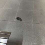 ヒメ日記 2025/02/20 19:55 投稿 しおり 梅田人妻秘密倶楽部