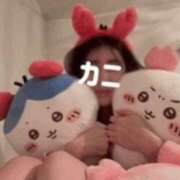 ヒメ日記 2025/02/27 23:25 投稿 しおり 梅田人妻秘密倶楽部