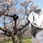 ヒメ日記 2025/03/21 10:10 投稿 しおり 梅田人妻秘密倶楽部