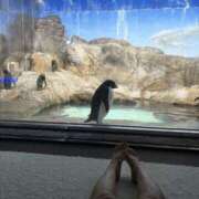 ヒメ日記 2025/09/30 22:05 投稿 しおり 梅田人妻秘密倶楽部