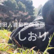 ヒメ日記 2026/04/03 19:35 投稿 しおり 梅田人妻秘密倶楽部