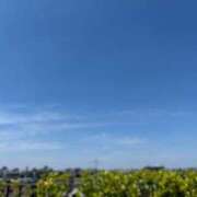 ヒメ日記 2025/06/29 08:53 投稿 かいな 横浜ハッピーマットパラダイス