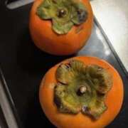 ヒメ日記 2025/11/29 18:23 投稿 かいな 横浜ハッピーマットパラダイス