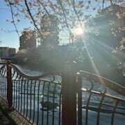 ヒメ日記 2026/04/05 08:53 投稿 かいな 横浜ハッピーマットパラダイス