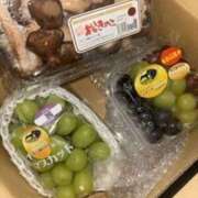 かいな 秋の味覚 横浜ハッピーマットパラダイス