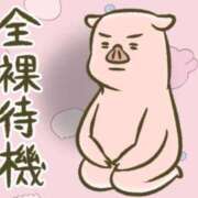 ヒメ日記 2025/04/22 09:22 投稿 優月ゆみか 全裸美女からのカゲキな誘惑