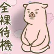 ヒメ日記 2025/04/30 09:17 投稿 優月ゆみか 全裸美女からのカゲキな誘惑