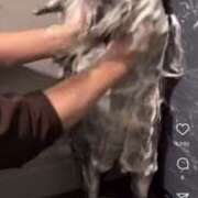 ヒメ日記 2025/07/23 09:25 投稿 優月ゆみか 全裸美女からのカゲキな誘惑