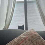 ヒメ日記 2025/08/25 07:02 投稿 優月ゆみか 全裸美女からのカゲキな誘惑