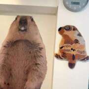 ヒメ日記 2025/10/06 19:12 投稿 優月ゆみか 全裸美女からのカゲキな誘惑