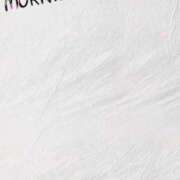 ヒメ日記 2025/11/25 09:52 投稿 優月ゆみか 全裸美女からのカゲキな誘惑