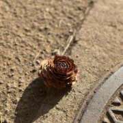 ヒメ日記 2025/12/09 13:22 投稿 優月ゆみか 全裸美女からのカゲキな誘惑