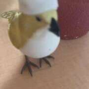 優月ゆみか ぴよぴよ🐣 全裸美女からのカゲキな誘惑