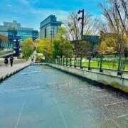 ヒメ日記 2025/04/08 22:33 投稿 駒込ゆみか THE痴漢電車.com