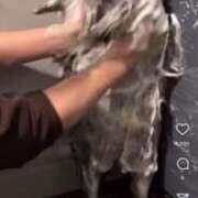 ヒメ日記 2025/07/23 09:43 投稿 駒込ゆみか THE痴漢電車.com