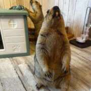 ヒメ日記 2025/09/30 08:30 投稿 駒込ゆみか THE痴漢電車.com