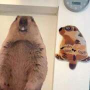 ヒメ日記 2025/10/06 19:23 投稿 駒込ゆみか THE痴漢電車.com