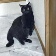 駒込ゆみか 明日キャンセル枠ありです🕊 THE痴漢電車.com