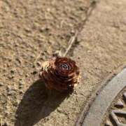 駒込ゆみか 🌼🍁 THE痴漢電車.com