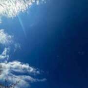 ヒメ日記 2025/12/14 02:53 投稿 駒込ゆみか THE痴漢電車.com