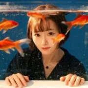 駒込ゆみか 元旦の過ごし方🌿 THE痴漢電車.com