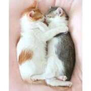 ヒメ日記 2025/04/01 09:24 投稿 あず TSUBAKI(つばき)土浦店