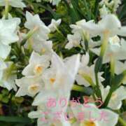 ヒメ日記 2025/04/08 17:31 投稿 あず TSUBAKI(つばき)土浦店