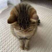 ヒメ日記 2025/07/17 12:35 投稿 あず TSUBAKI(つばき)土浦店