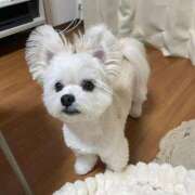 ヒメ日記 2026/03/01 07:07 投稿 あず TSUBAKI(つばき)土浦店