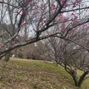 ヒメ日記 2026/02/15 15:14 投稿 ちあき 完熟ばなな梅田