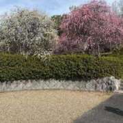 ヒメ日記 2026/02/24 14:04 投稿 ちあき 完熟ばなな梅田